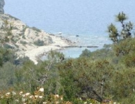Foça