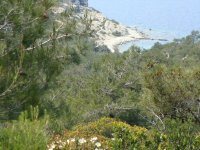 Foça