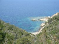 Foça