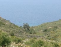 Foça