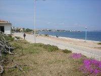 Yeni Foça