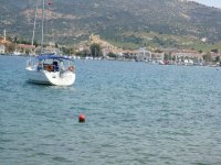 Foça