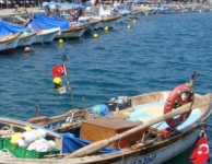 Foça