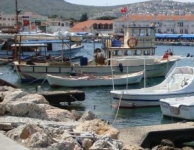 Foça