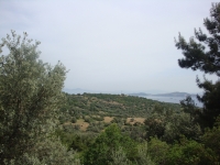 DSC09315