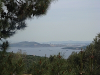 DSC09317