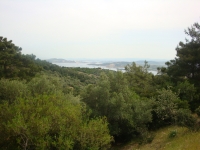 DSC09319
