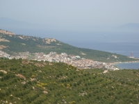 DSC09331