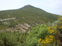 DSC09339