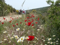 DSC09340