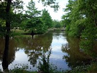 Gabbard Park College Station TX