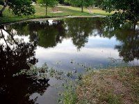 Gabbard Park College Station TX