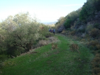 DSC09357