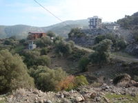 DSC09364