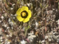 IMG_9061
