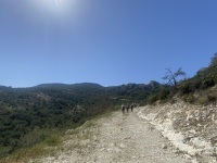 IMG_9070