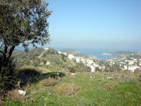 DSC06806