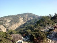 DSC06818