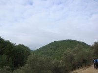 dsc07366666