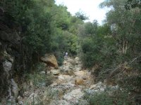 dsc07376