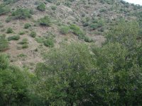dsc07406