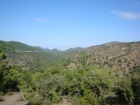 dsc07420
