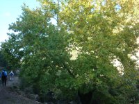 dsc07431