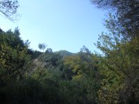 dsc07438