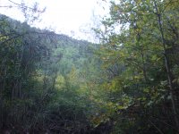 dsc07443