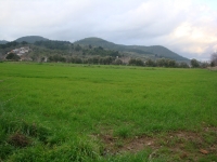 DSC09810