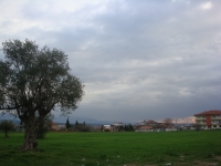 DSC09811