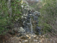 DSC09820