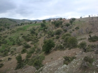 DSC09842