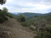 DSC09843