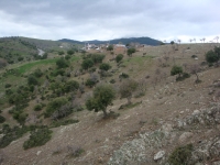 DSC09844