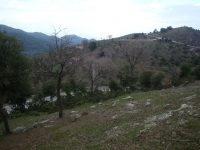 DSC09847