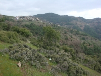 DSC09848