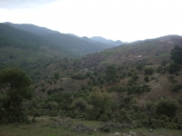 DSC09849