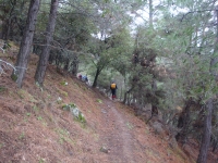 DSC09854