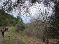 DSC09856
