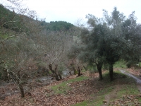 DSC09858