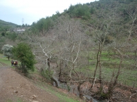 DSC09859