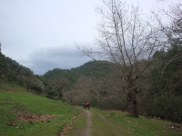 DSC09863
