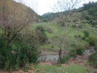 DSC09864