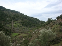 DSC09866