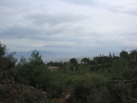 DSC09868