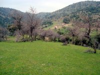 Gaziemir