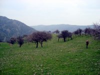 Gaziemir
