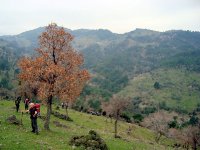 Gaziemir