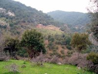 Gaziemir